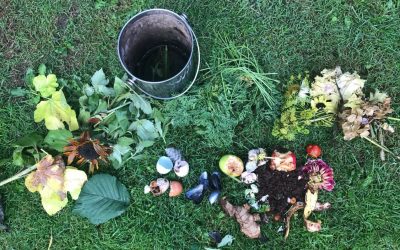 Derfor elsker jeg en godt snasket kompost – uge 38 i haven