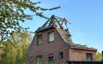 Det er “hot” at redde de gamle huse, vinduer og badeværelser