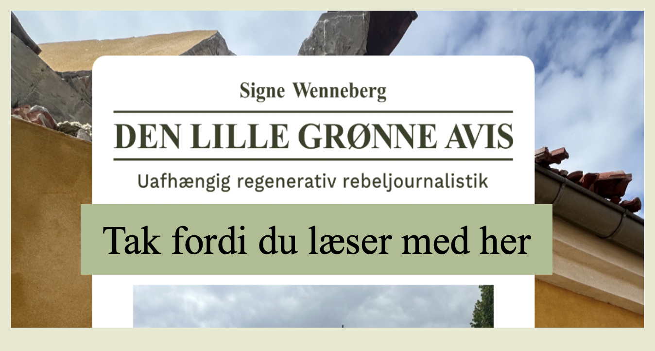 Den lille grønne avis