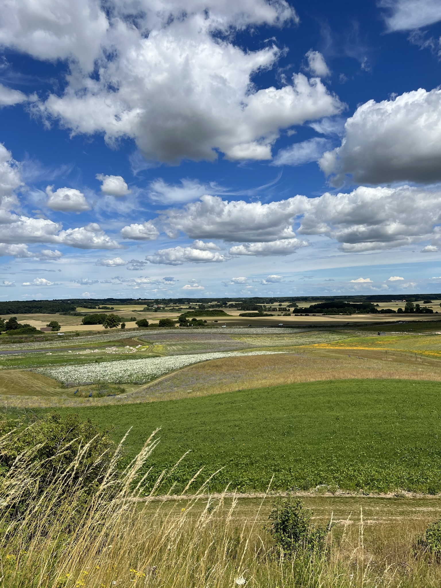 Landskab