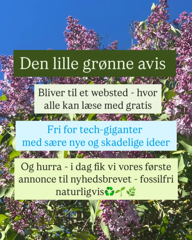 Jeg vil dele en god nyhed med jer… Vi er kommet et stykke videre med Website og Nyhedsbrev, som bliver klar om to uger👍🏼  I dag har Den lille grønne avis solgt sin første annonce. Annoncen er naturligvis fossilfri. Hvilket er mere end hvad man kan sige om annoncer i andre aviser + deres rejsetillæg✈️  Der er brug for samarbejdspartnere. Det giver sig selv. Især når der ikke er pengestrømme fra støtteordninger / betalingsmur  Jeg får min løn fra foredrag mm og insisterer på at lægge mine artikler (research, billeder) ud gratis. Hvorfor? Fordi der ikke er ”nogen tid at spilde i den grønne omstilling”. Vi skal have alle mand på dæk og så nytter det ikke, at dem uden avisabonnement ikke kan få lov til at læse, vel?  Og jeg er så glad for, at der er mange læsere af mine tekster. Også mange unge. Jeg er så glad for det community, der er bag ved Den lille grønne. Jeres tips, ideer og delinger er guld værd. Tak!  Men jeg vil ikke lægge skjul på, at det er op ad bakke at løsrive os fra Meta. Og løsrive sig skal vi.  Meta har - siden indsættelsen af den nye amerikanske administration - vist, at vi ikke længere deler værdier: Fri tale, fakta, demokrati, respekt, ordentlighed.  Så jeg tog en beslutning allerede da jeg så Tech-giganterne arm i arm til indsættelsen. 
Jeg vil eje mit eget publicistiske sted (website) som ingen kan plastre til med propaganda og falske historier og reklamer for fossilt bras🔥  Jeg bliver på Instagram. Jeg er her nu. Men fra om et par uger kommer mine historier især på min egen kanal, som jeg bygger med bureauet @peytz.dk Et website, der altså allerede her før lanceringen har fået sin første samarbejdspartner! Og som vi talte om til mødet i dag: Alle (også politikere) der stadig lægger penge hos Meta må overveje, om det virkelig er der, man vi købe annoncering? Eller om man skal ”put your money where your mouth is”?  Jeg er glad for tilliden. Det varmede. For det har været nogle ekstremt hårde måneder. At opgive et ”gratis” (intet er gratis, vi betaler med vores data) medie til fordel for at starte fra bunden er… hårdt arbejde. Men i dag kom vi et skridt videre. Og nu glæder jeg mig til at vise jer det hele!