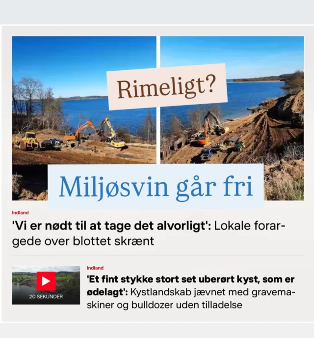Hvad i alverden foregår der? Når rige mennesker i DK tror, at de kan ødelægge vores natur?  Det får nærmest ingen konsekvenser.  Vejle: I dag er det kommet frem, at en rigmand har ødelagt en smuk stejl skrænt ved Vejle Fjord. Omkring 4.000 kvm kyststrækning er blevet smadret med gravemaskiner. Gravet op og jævnet ud. Træer og buske er væk. Det er sket i strid med reglerne om strandbeskyttelse og uden tilladelser. Straks-påbud fra kommunen er ikke blevet efterlevet. Forventet bøde? Nærmest ingenting.  Kolding: For nylig faldt der dom over et rigt ægtepar i 40-årsalderen, som blev dømt for bevidst at have fjernet 1.800 kvadratmeter beskyttet moseområde ved Donssøerne i Kolding. De havde lavet en ”parcelhushave” ud af en mose med sjældne arter. En mose de ikke ejede. Men som de havde udsigt til. Nu har de rullegræs og sø med spejlblankt vand. Dommen? De får hver 4 måneders BETINGET fængsel (dvs ingenting) og de skal IKKE genskabe mosen, kun en meget lille del. Den værdistigning, de kan få på deres ejendom, er intakt.  Østjylland: Godsejer Johan Koed Jørgensen fra Aakær Gods har nu indrømmet af det var ham, der fældede træerne i Odder, som forsvandt sidste år. 500-600 gamle vejtræer – ejet af kommunen – er fældet. Samtidig har godsejeren snuppet en del jord i kanten af sine egne jorde til dyrkning, i stedet for, som randområder, hvor der var grøfter og biodiversitet.  Randers: Og så er der Nordic Waste. Hvor milliardær-familien Østergaard smadrede naturen med giftig jord. Det var en god forretning at være modtager af al den giftige jord (bla døde mink) som andre ikke ville have. Indtil gik galt. Så lod Østergaard familien firmaet gå konkurs, beholdt alle deres milliarder selv, og lod en milliard-regning gå ud over borgerne i Randers. Det går ud over skoler, børnehaver, plejehjem og alle andre i Randers i mange år frem.  Jeg stemmer for, at naturen har en stemme.  At naturen får rettigheder.  At naturen skal respekteres – og passes på – og gør man vold mod naturen, så skal det straffes hårdt. Med fængsel og en passende bøde efter indtægt og formue.  Hvad mener du?  Del gerne  @danmarksnatur  Foto: @drnyheder / @vejlekommune